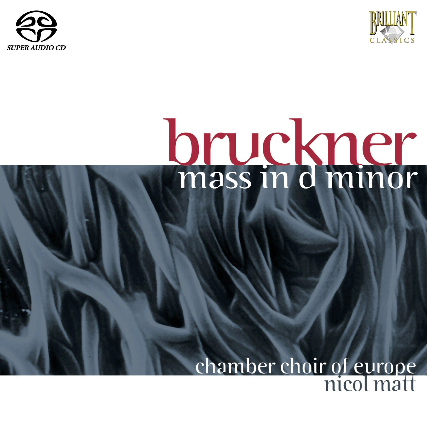 Bruckner Mass in d minor