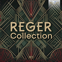 Reger Collection (1)